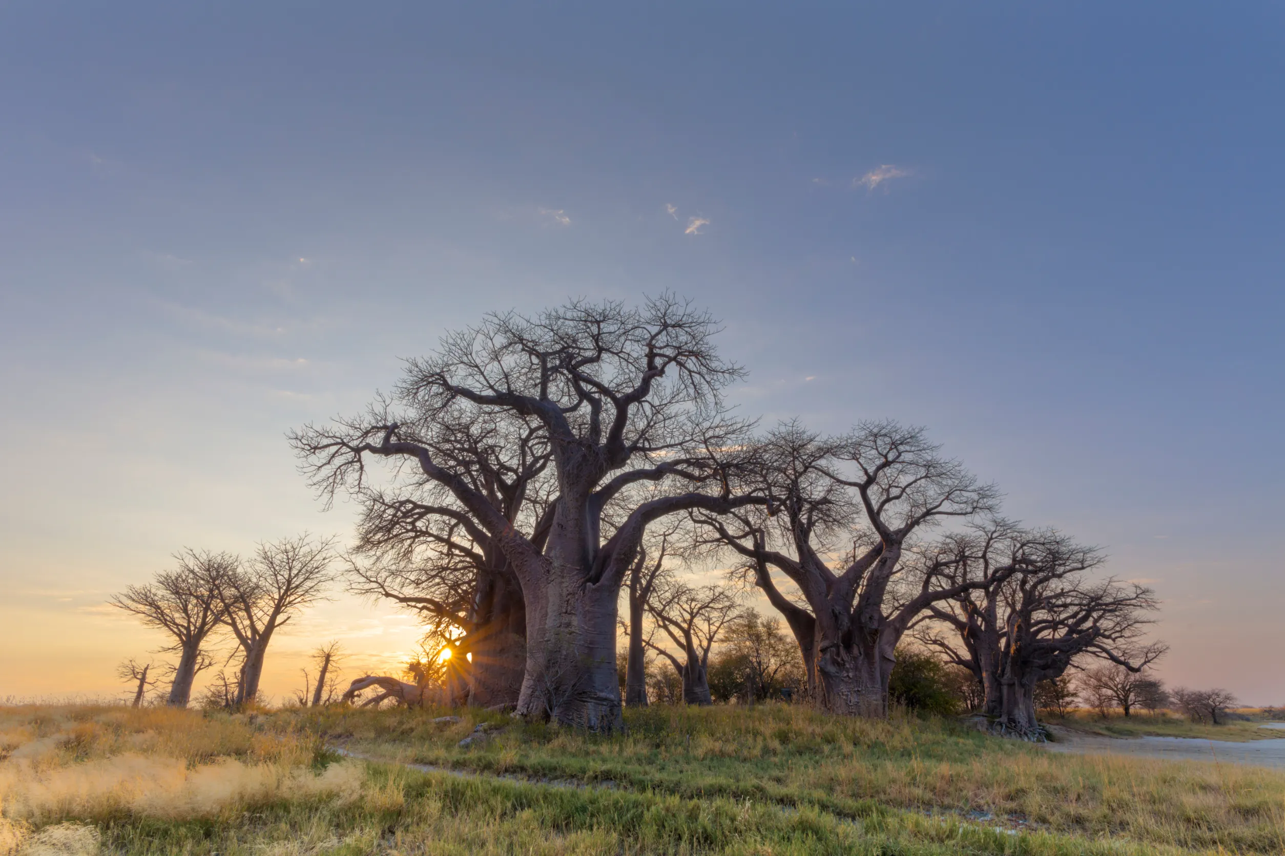 Telekonek eSIM activation process in Botswana